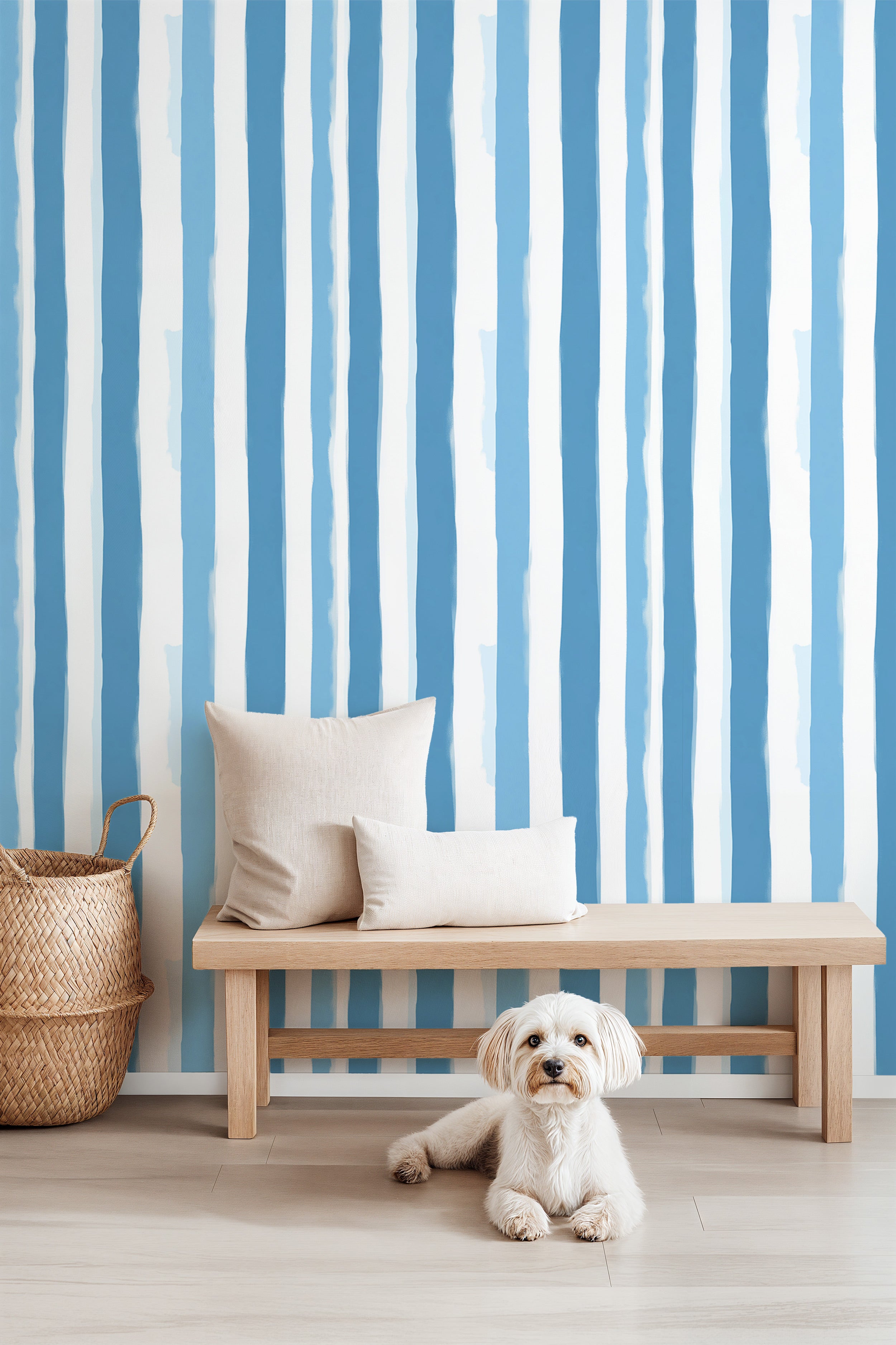 Blue watercolor striped peel and stick wallpaper in a modern coastal room with a wooden bench, cushions, and a small dog