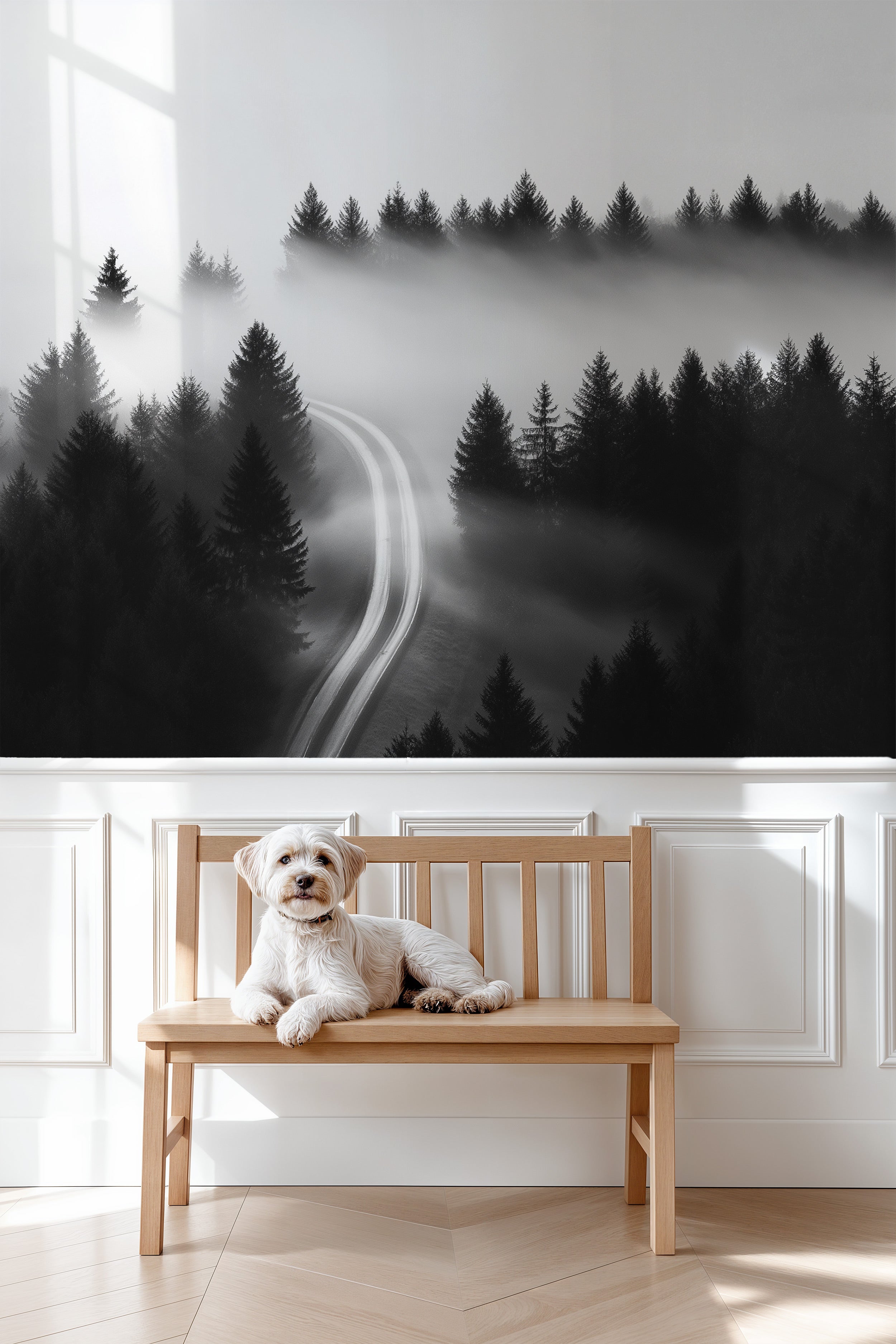 Misty forest road mural in black and white, winding path through foggy evergreen trees, showcased in a bright room with a dog