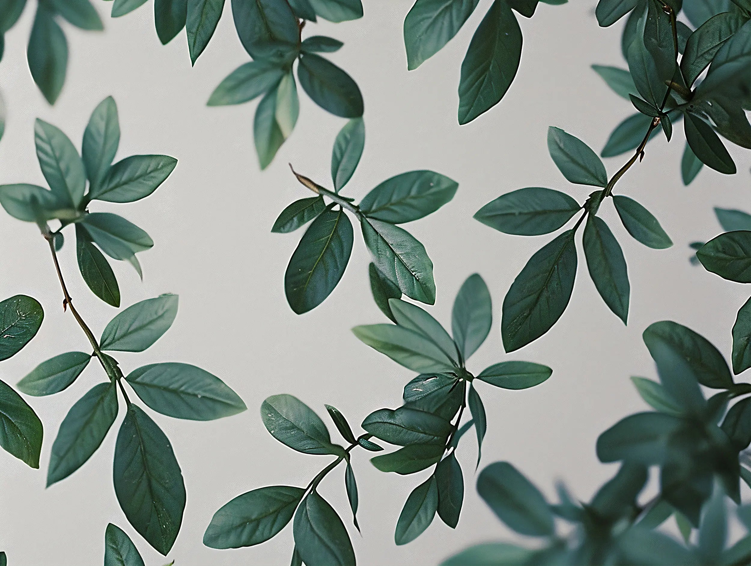 		Eco-Friendly Botanical Wallpaper