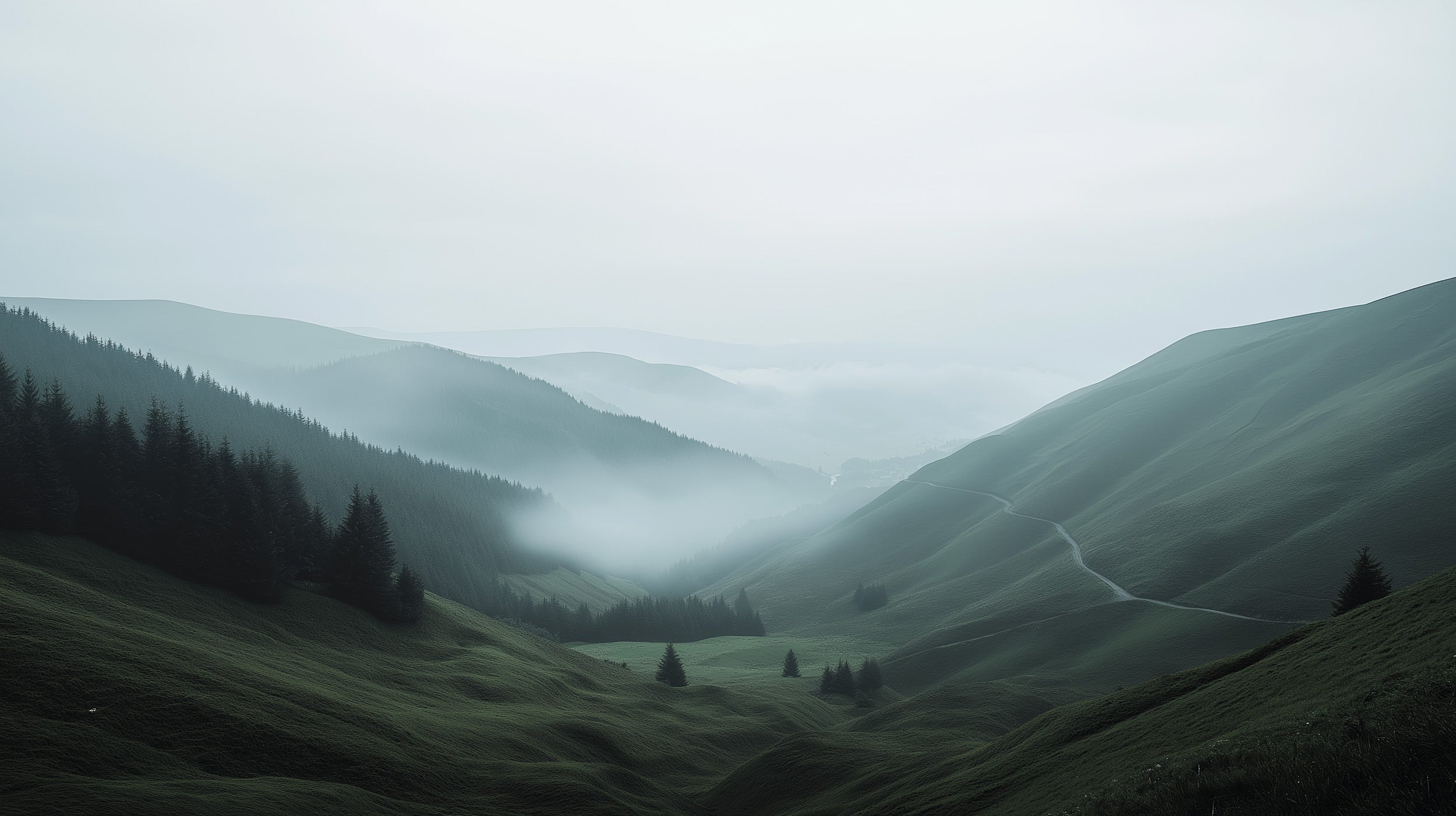 Misty mountain valley mural in a green landscape with rolling hills, foggy layers, and a winding path for a calm, panoramic r