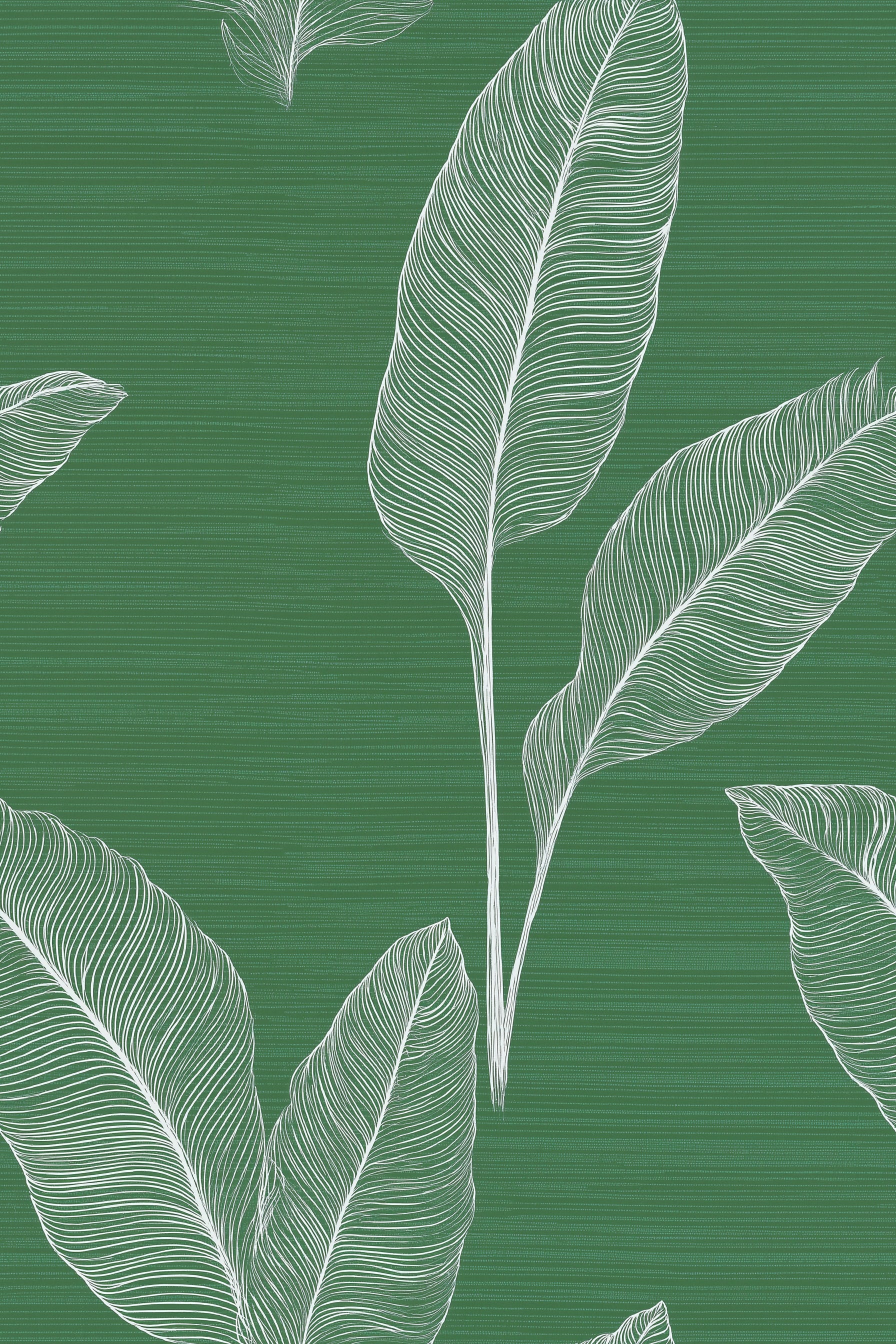 Emerald green tropical leaf wallpaper with white line art, bold modern botanical pattern and seamless repeating foliage design for living spaces